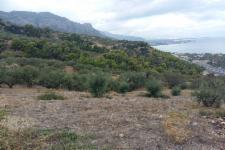 Αγροτεμάχιο στον Πλάτανο Αιγιαλείας