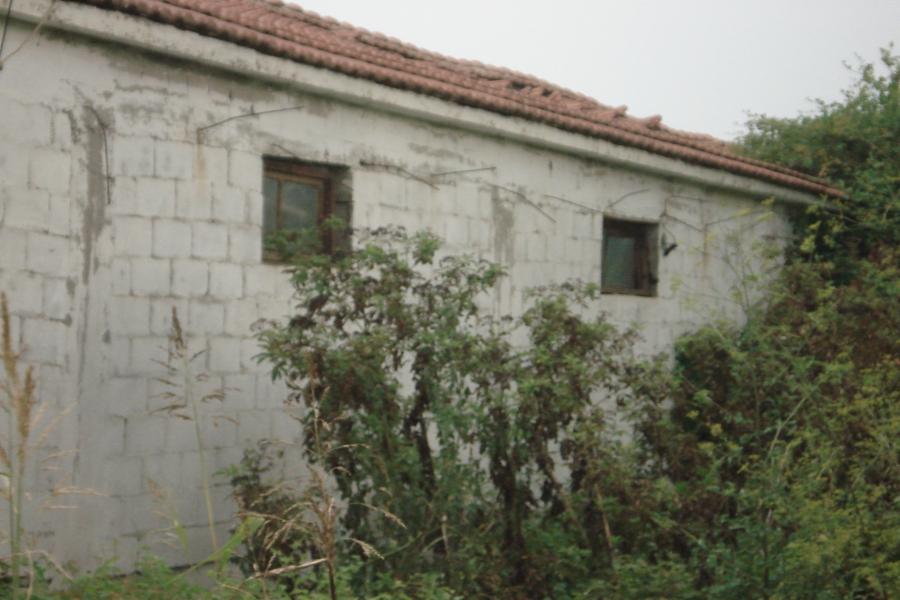 Special Uses Fiki, Kryovrysi Location, Municipality of Pialia, Regional Unit of Trikala