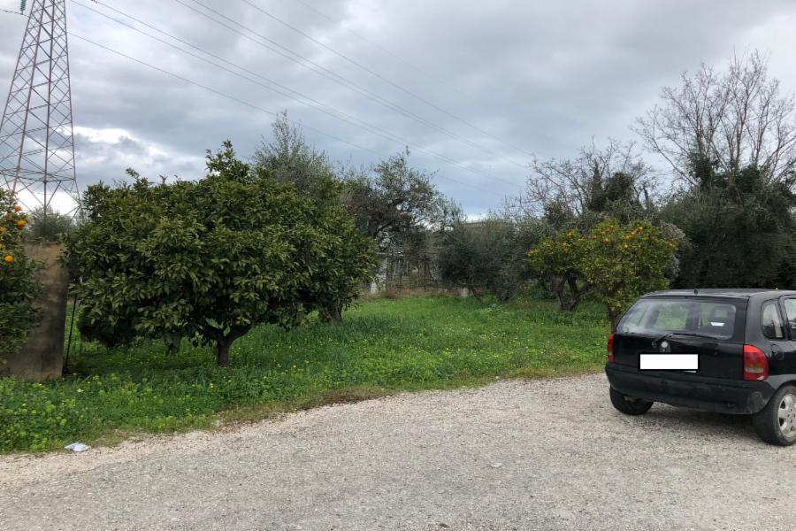 Land plot Riganokampos Location, Municipality of Patra, Regional Unit of Achaia