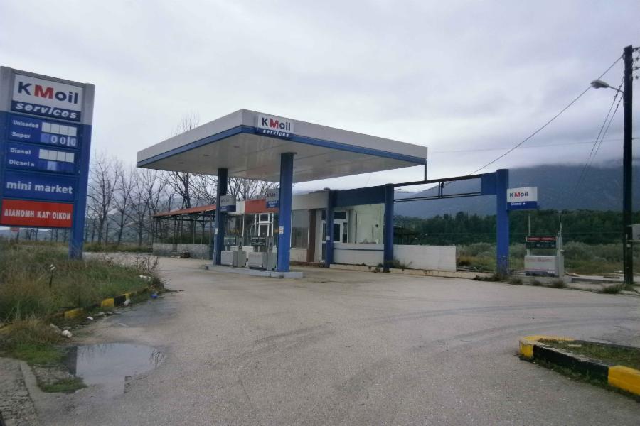 Professional space 12th km of the Argos-Sternas Regional Road, Agorgis Location, Municipality of Argos-Mykines, Regional Unit of Argolida