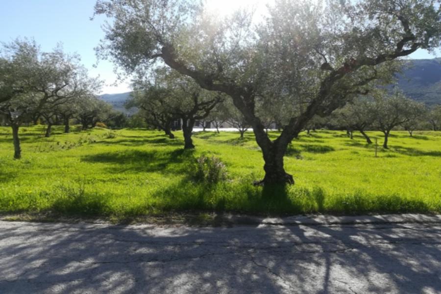 Οικόπεδο στη Ζάκυνθο