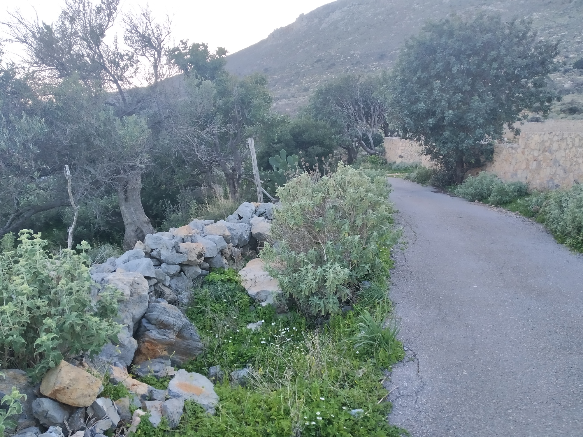 Land plot in Afrata, Chania RealEstate Online.gr