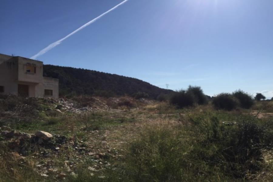 Αγροτεμάχιο στην Ασίνη Αργολίδας