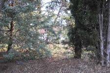Plot in Oraiokastro, Thessaloniki
