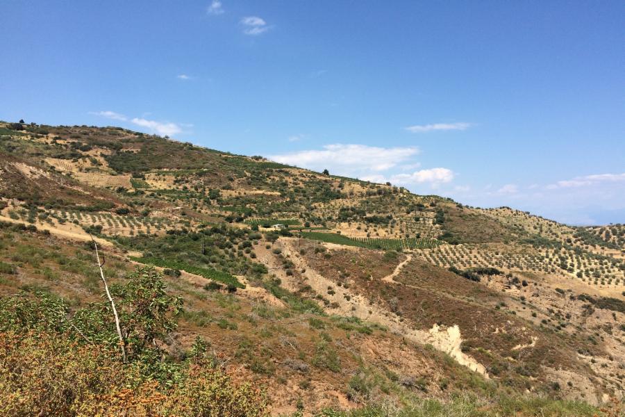Αγροτεμάχιο στο Αίγιο Αχαΐας