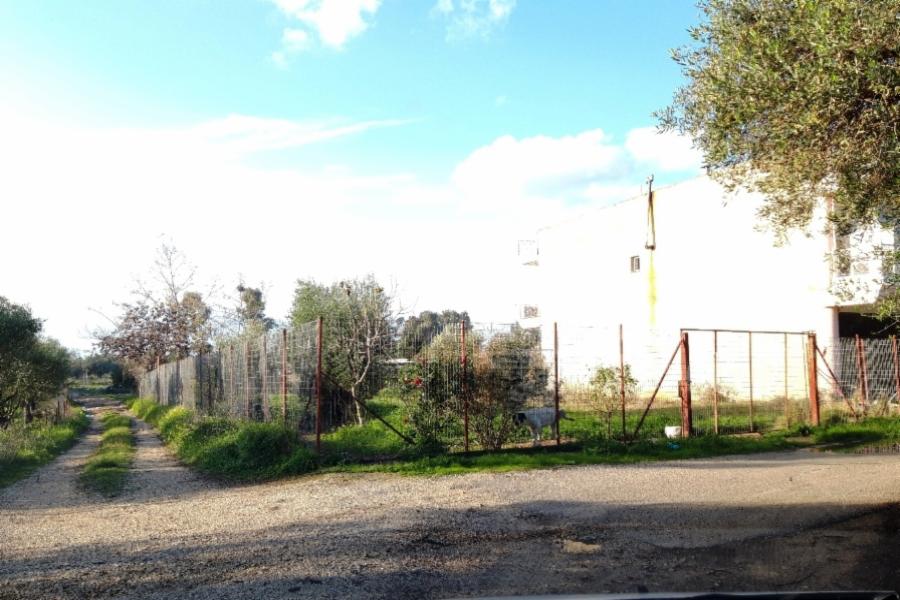 Οικόπεδο Πατριάρχου Γρηγορίου Ε', Περιοχή Κάτω Αχαΐα, Δήμος Δυτικής Αχαΐας, Νομός Αχαΐας