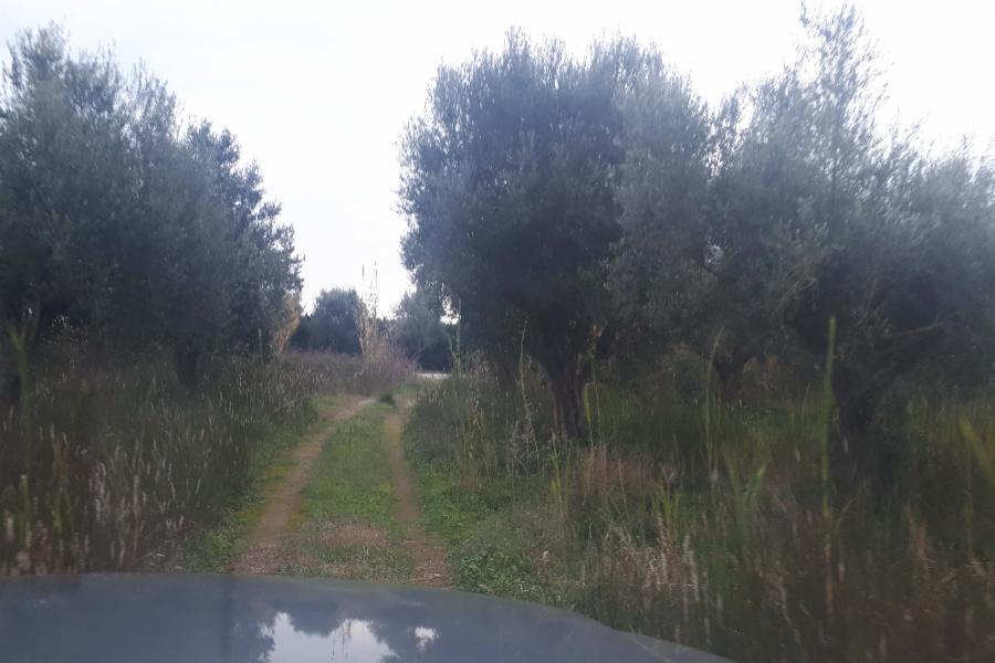 Μονοκατοικία Περιοχή Γρανίτης, Δήμος Κάτω Νευροκοπίου, Νομός Δράμας