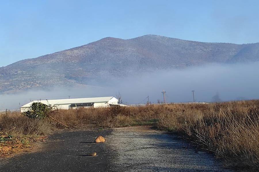 Professional warehouse Kolokynthou Kastorias Area, Municipality of Kastoria, Regional Unit of Kastoria