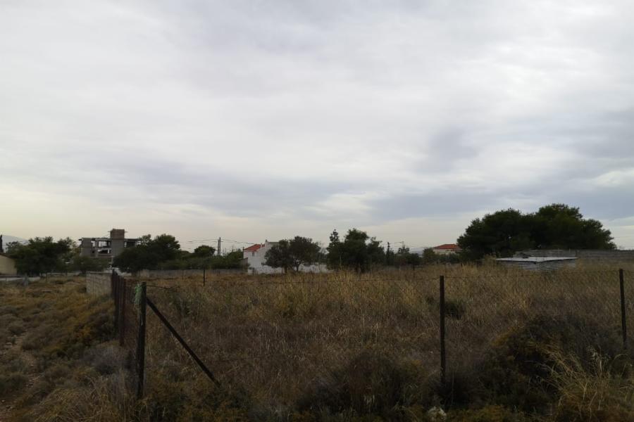 Land plot Location Patima Katara, Megala Schoina A Area, Municipality of Acharnes-Thrakomakedonon, Regional Unit of Attica