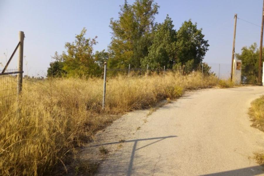 Land parcel Location ALONIA,  Zoodochou Pigis Area, Municipality of Oropos, Regional Unit of Attica
