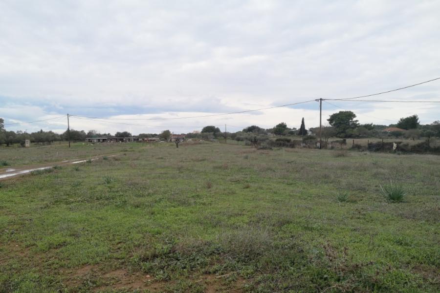 Land parcel Location KOKKINARI or FLAMPOURA,Kranidi Area, Municipality of Ermionida, Regional Unit of Argolida