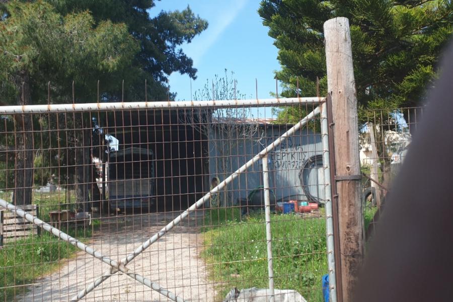 Professional warehouse Vonitsa Area, Municipal District of Anaktoriou, Municipality of Aktio-Vonitsa, Regional Unit of Aitoloakarnania