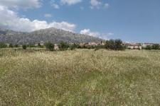 Αγροτεμάχιο στο Λυγουριό, Αργολίδα