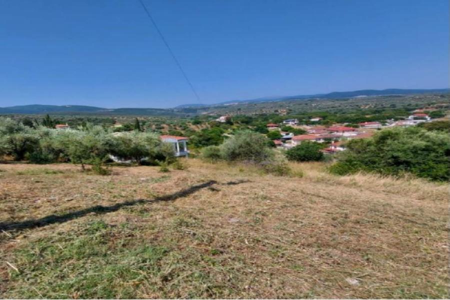 Οικόπεδο στο Αχίλλειον Μαγνησίας