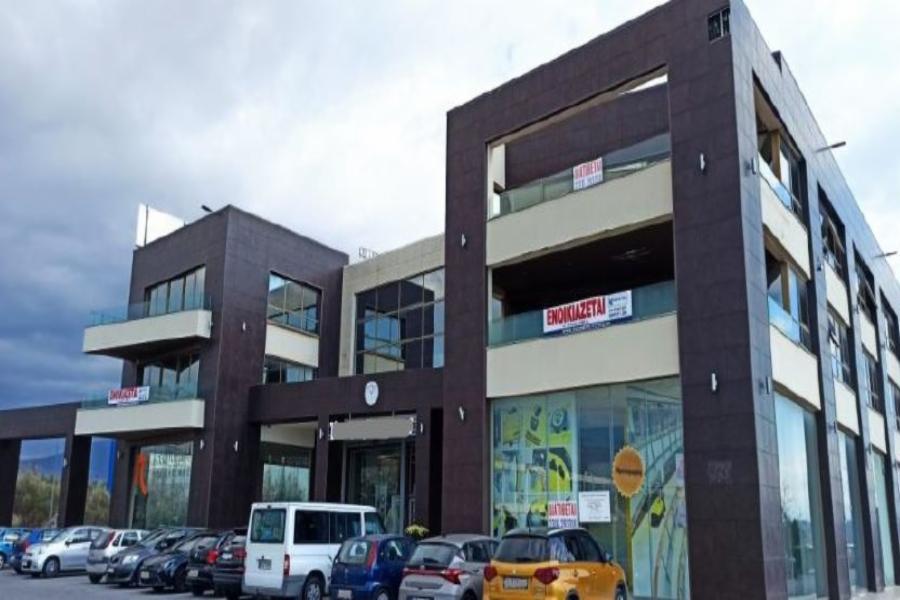 Store & Commercial Warehouse in Pylaia