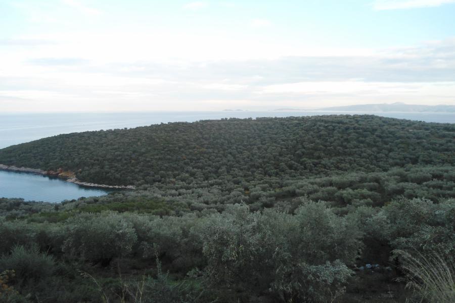 Land Plot in Amaliapoli, Magnesia