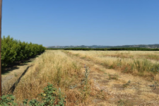 Αγροτεμάχιο στη Βέροια