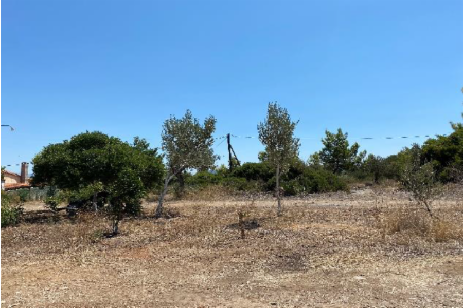 66,67% έκτασης στην Πετροθάλασσα, Κρανίδι