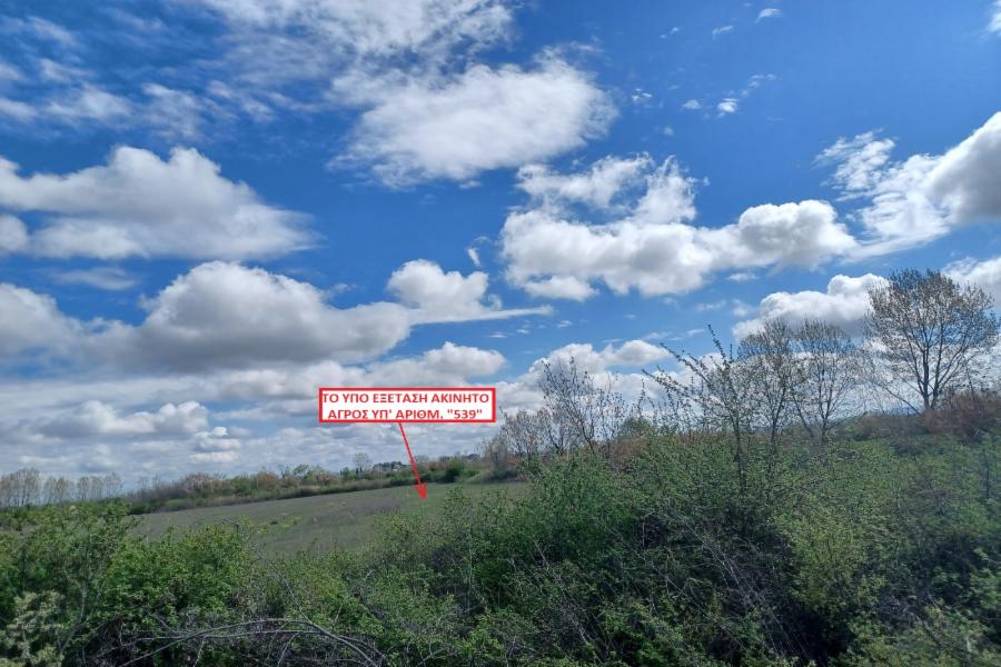 Γήπεδο στη Πατρίδα Δόβρα, Βέροιας