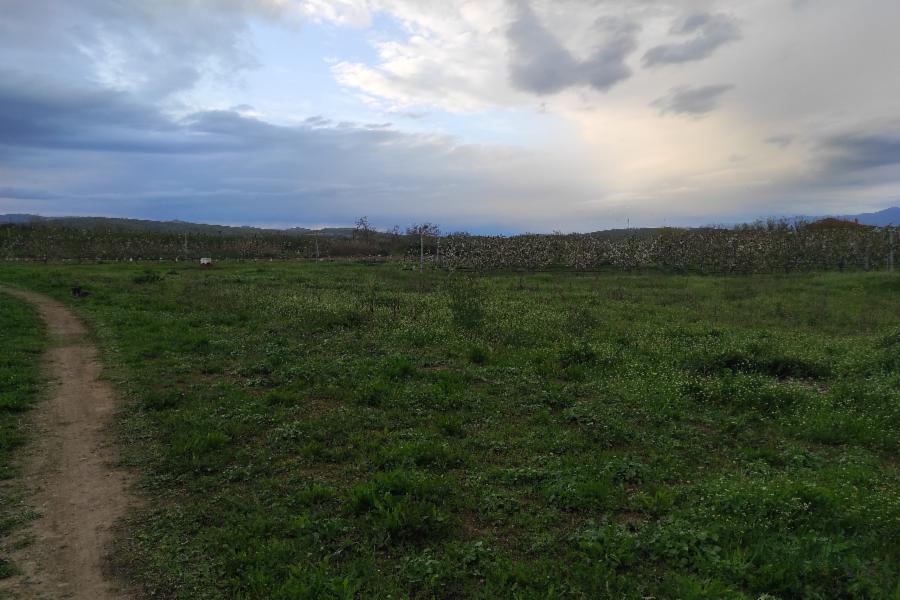 Οικόπεδο στην Σκύδρα