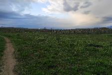 Οικόπεδο στην Σκύδρα