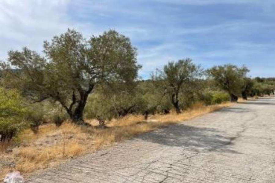 18,75% Oικοπέδου στη Λέσβο