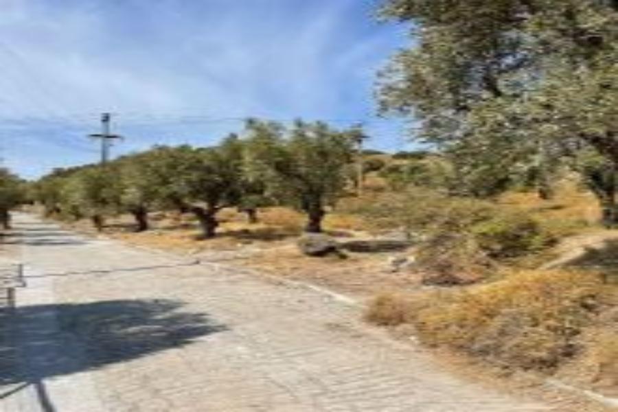 18,75% Οικοπέδου στη Λέσβο
