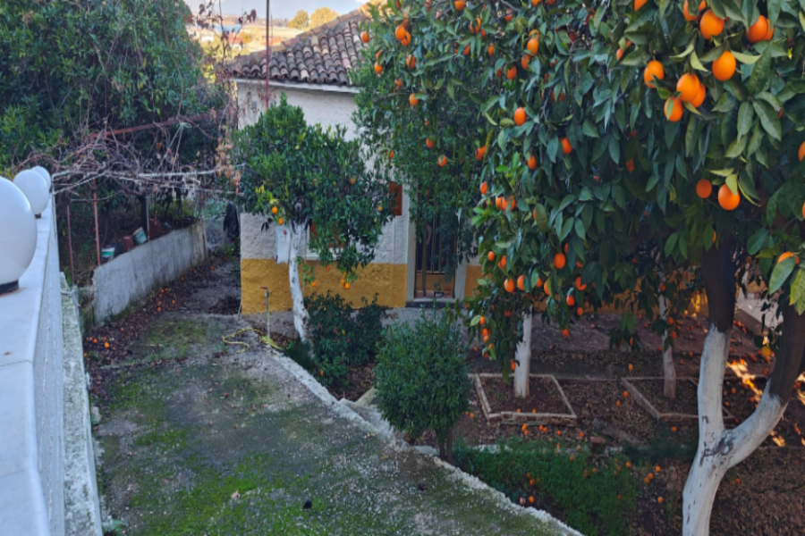 Μονοκατοικία Ομαγειρίου Δίος 19, Θέση Άγιοι Απόστολοι, Δήμος Αιγιαλείας, Νομός Αχαϊας