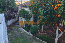 Μονοκατοικία Ομαγειρίου Δίος 19, Θέση Άγιοι Απόστολοι, Δήμος Αιγιαλείας, Νομός Αχαϊας