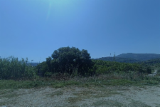 Γήπεδο Δήμος Αρχαίας Ολυμπίας, Νομός Ηλείας