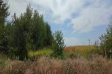 Γήπεδο Δήμος Τοπείρου, Νομός Ξάνθης