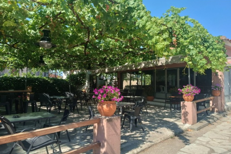 Κατάστημα Δήμος Αρχαίας Ολυμπίας, Νομός Ηλείας