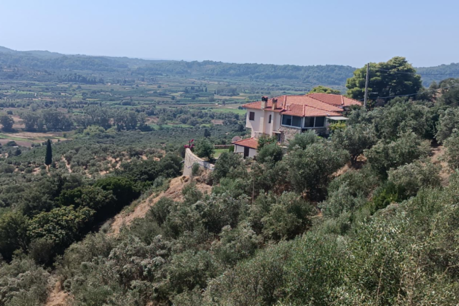 Μονοκατοικία Θέση ΓΑΛΗΓΟΥΡΑ, Δήμος Αρχαίας Ολυμπίας, Νομός Ηλείας